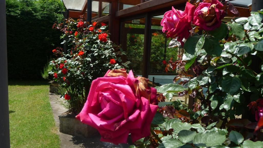 מלון וולויק Logis La Rose Des Vents מראה חיצוני תמונה